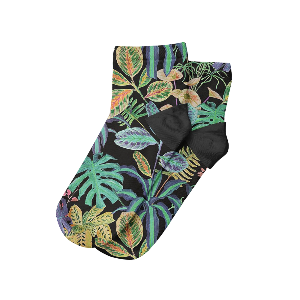 Plantas