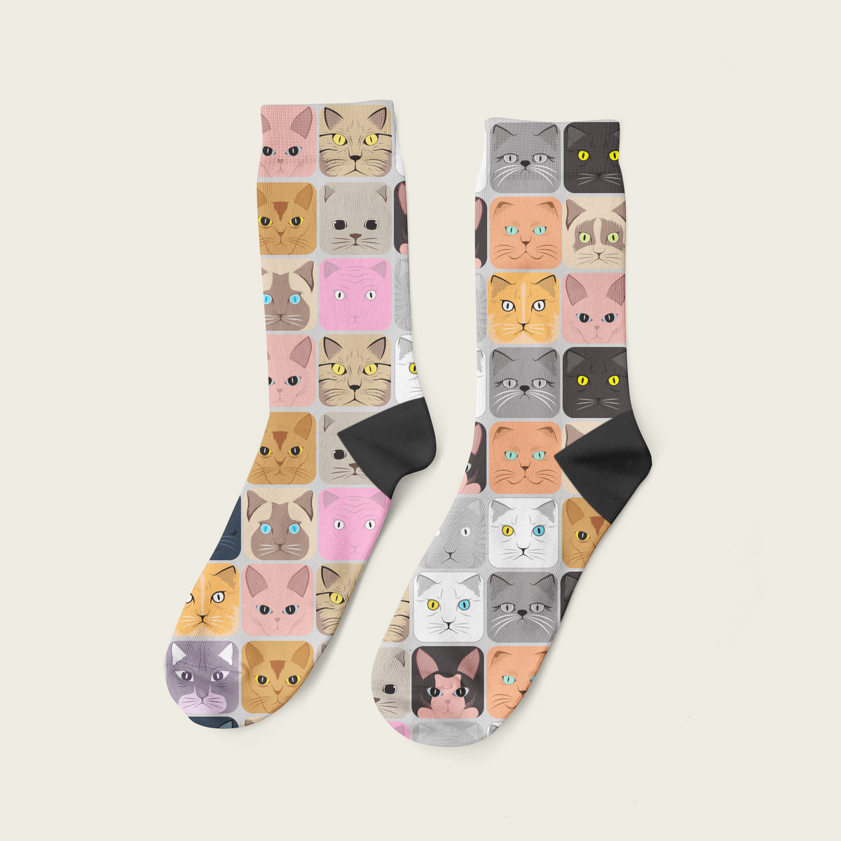 Gatos