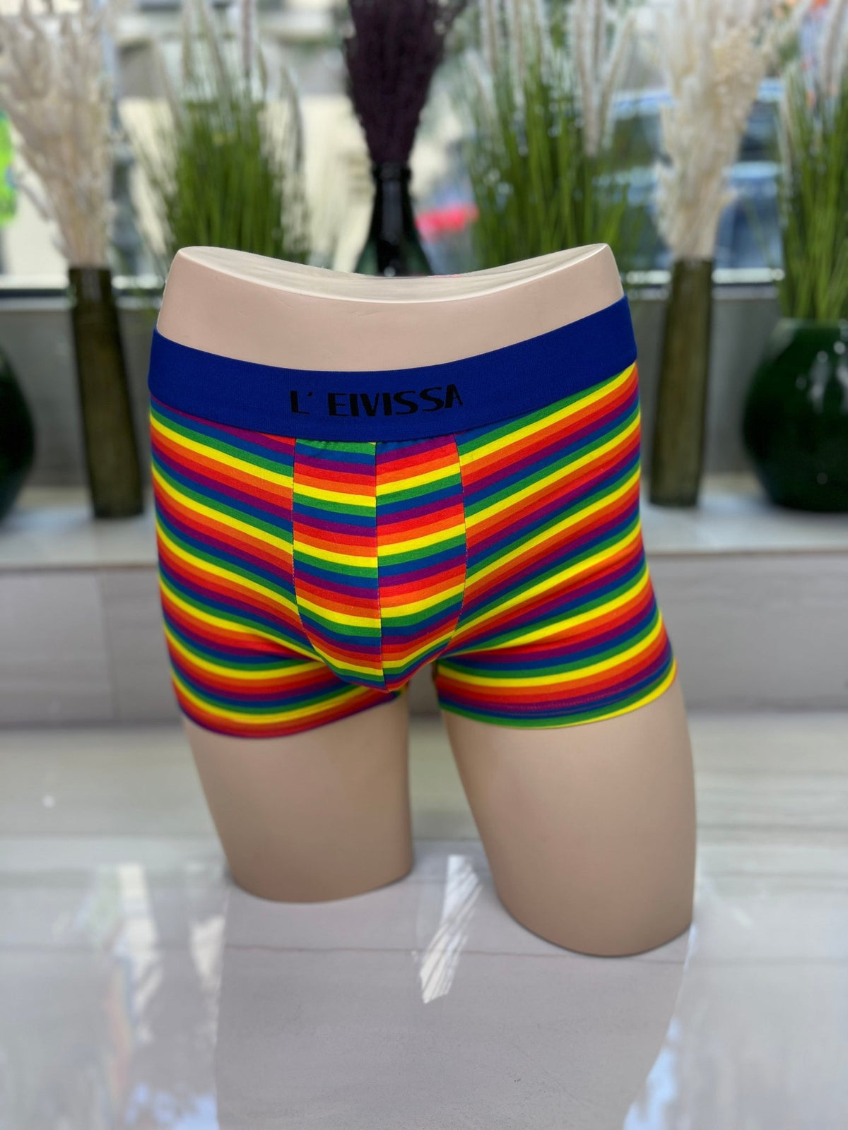 Boxer Bandera Gay
