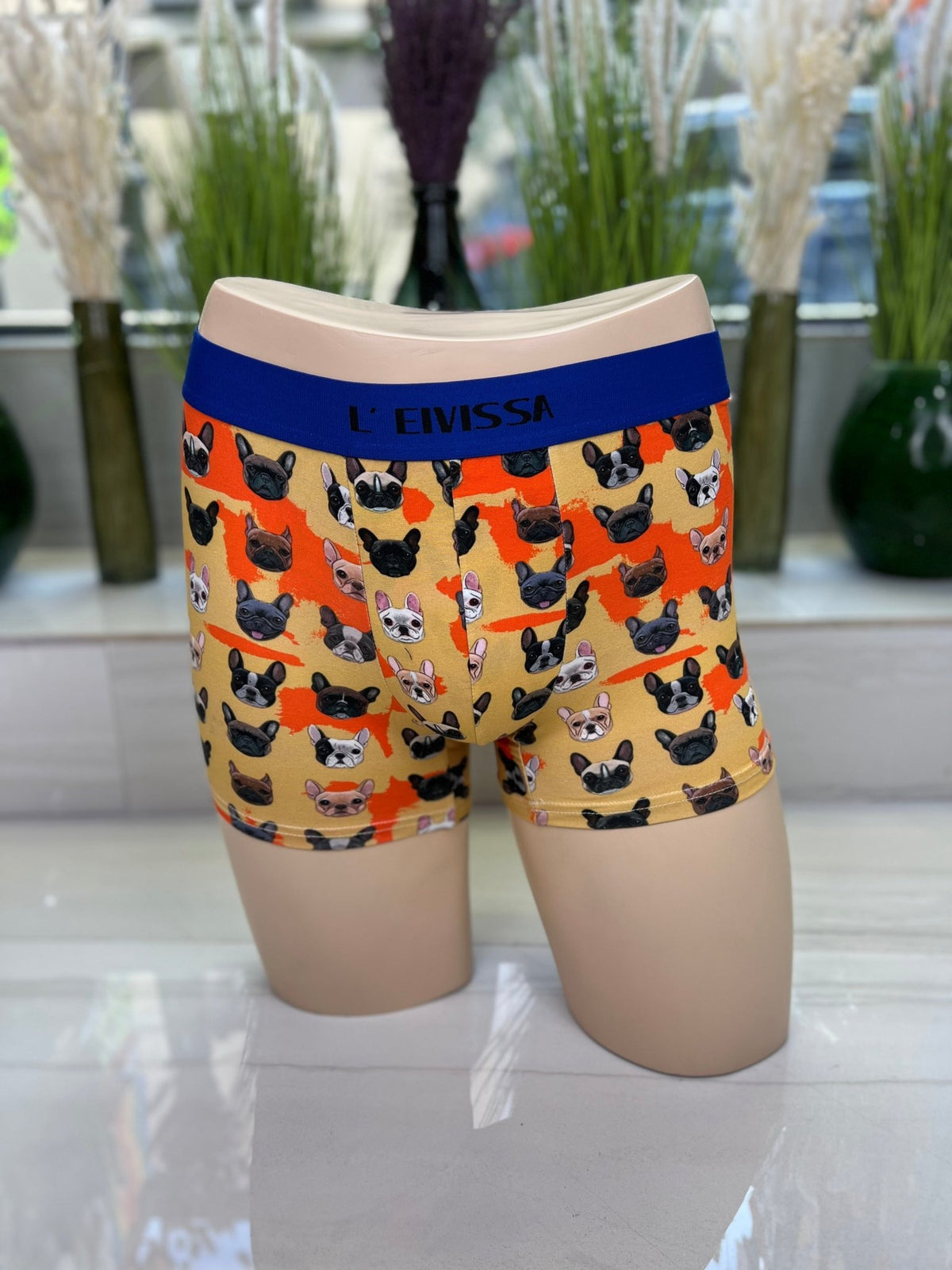 Boxer French Bulldog Perros