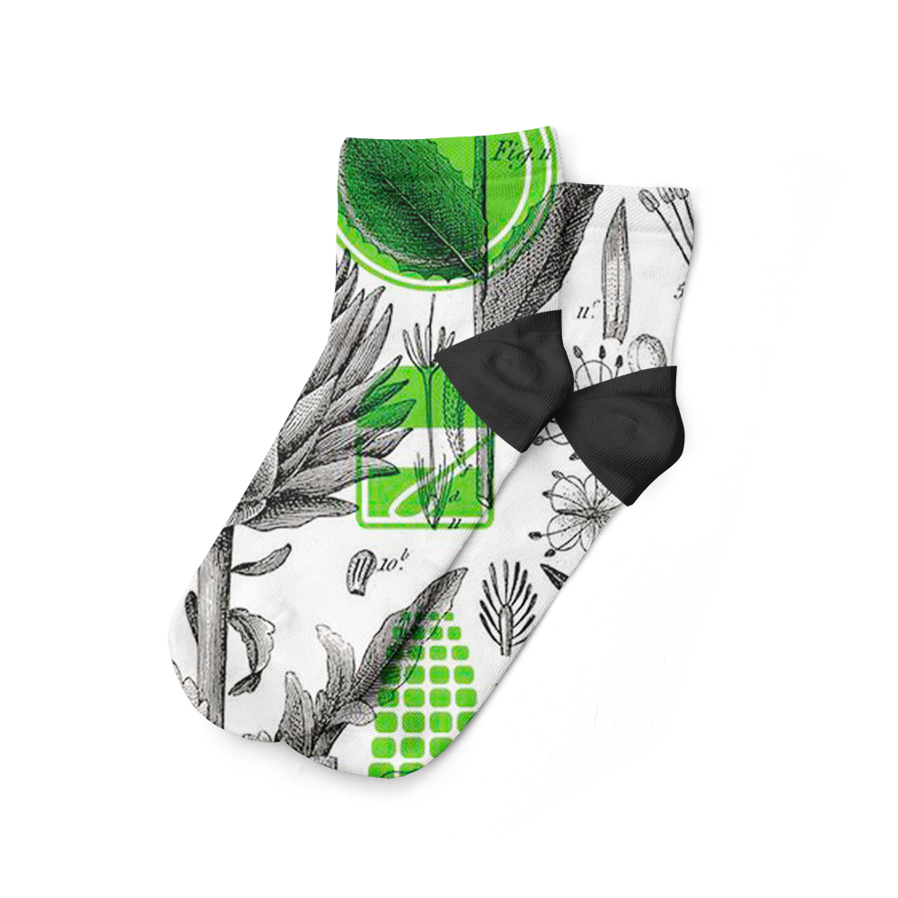Botanica