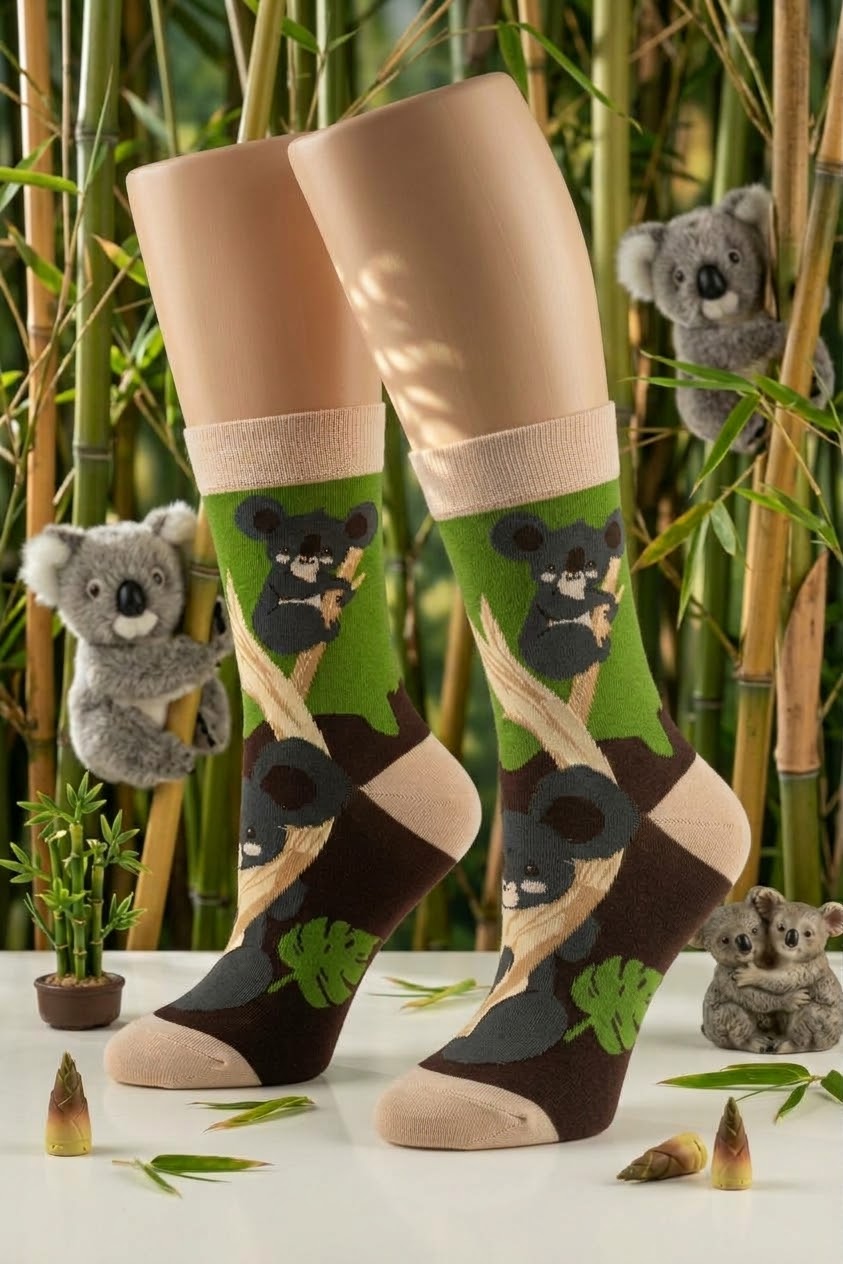 Koala ll