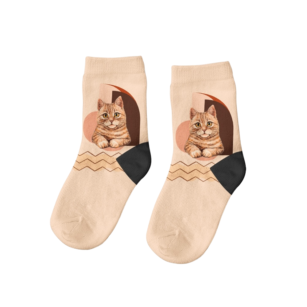 Gato