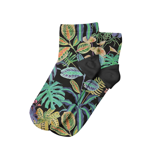 Plantas