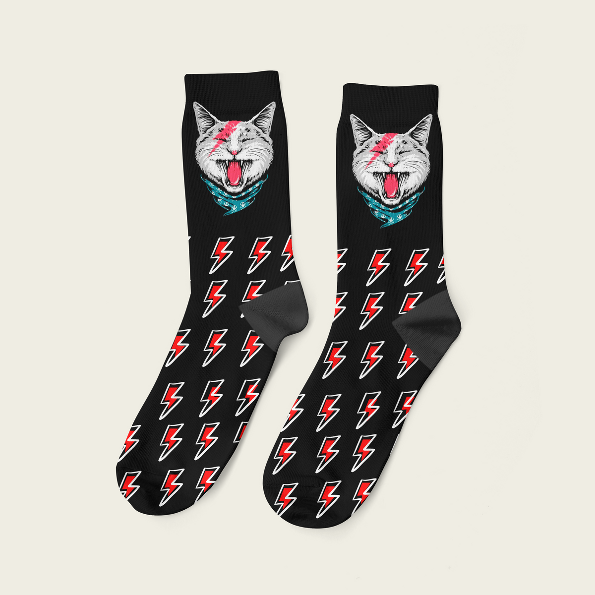 Gato
