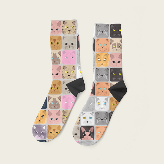 Gatos