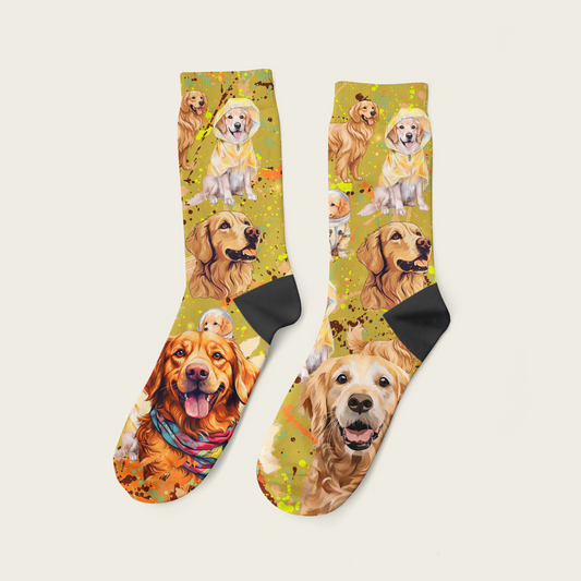 Golden retriever