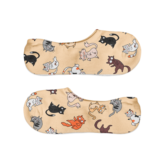 Gatos