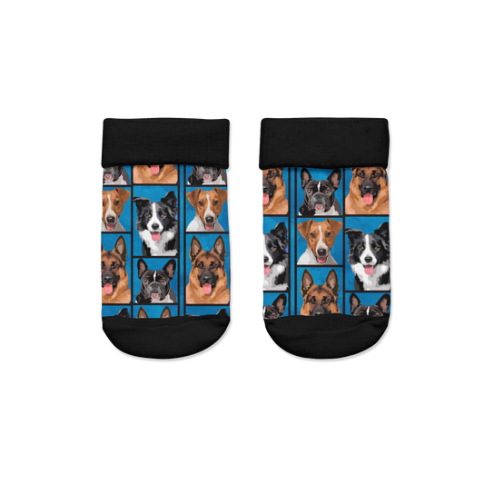 Perros