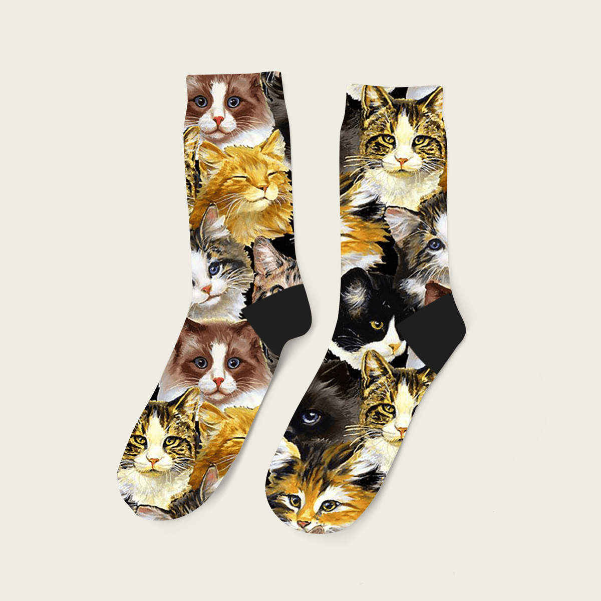 Gato