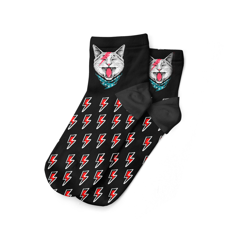 Gato