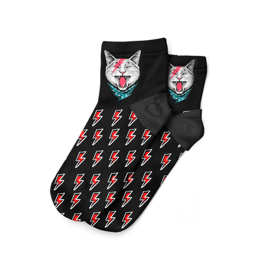 Gato