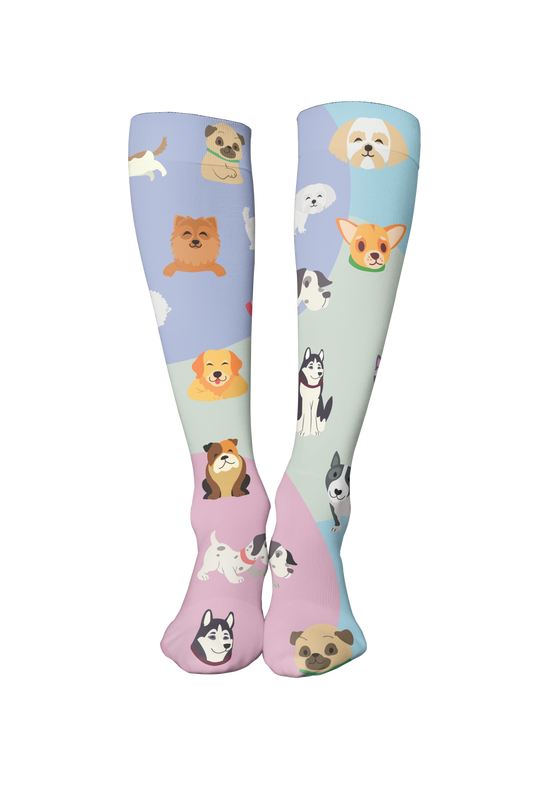 Perros