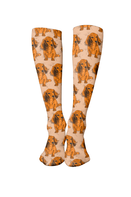 Perro Salchicha
