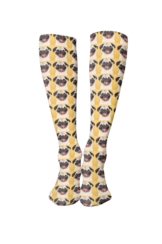 Pug Carlino Vll