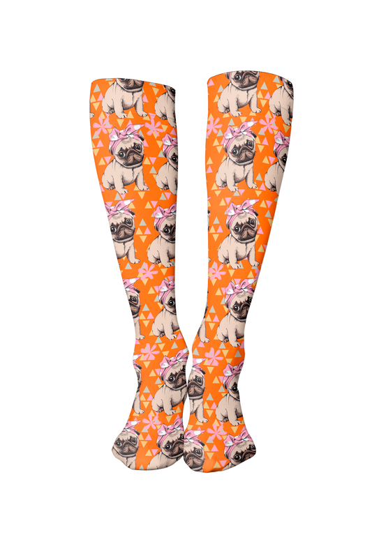 Pug Carlino lV