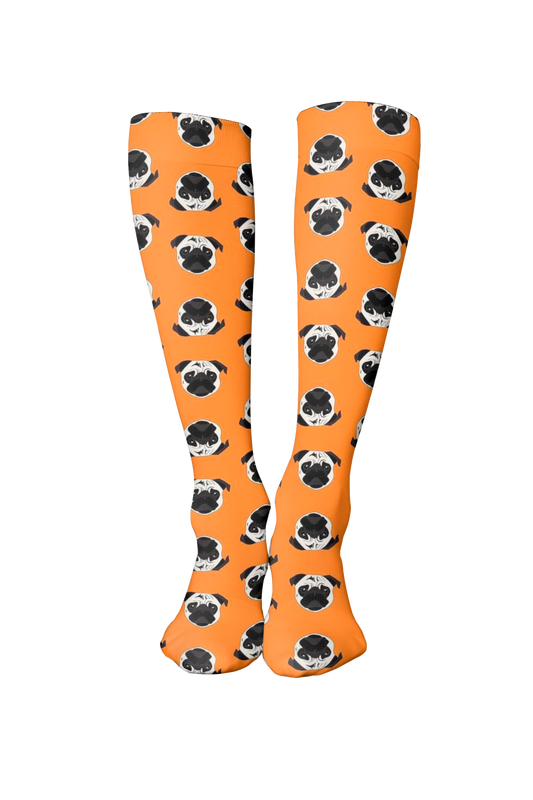 Pug Carlino ll