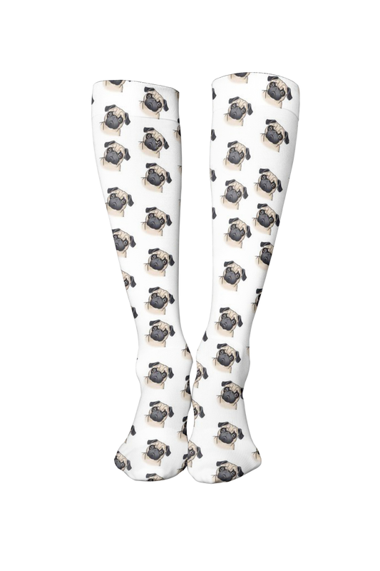 Pug Carlino lll